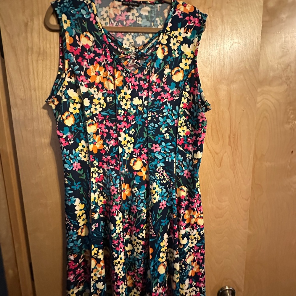 Ava & Grace Multicolor Floral Dress